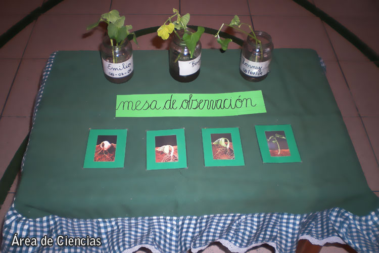 Mesa de Observación